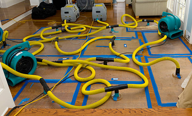 Professional Water Damage Repair technician working in Trona, CA